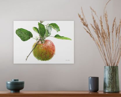 Apple 'Tortosh'