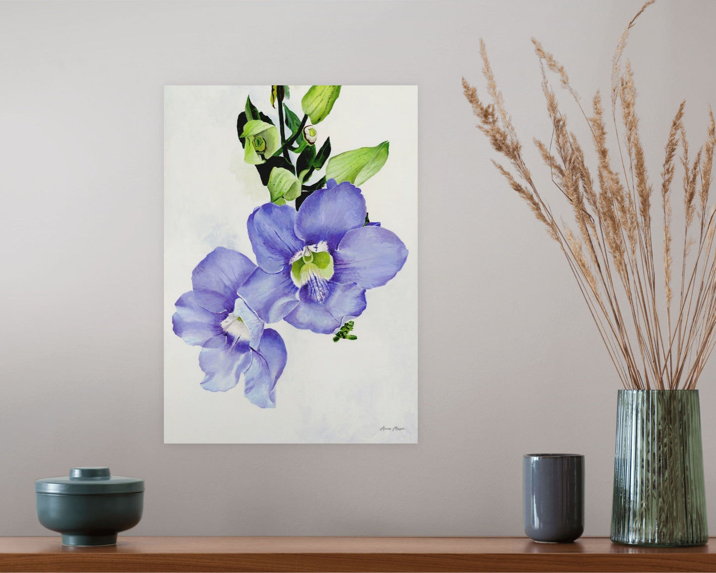 Blue Skyflower