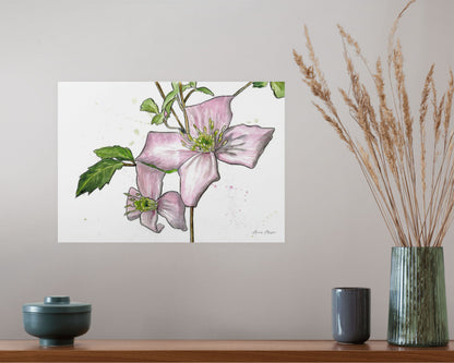 Line & Wash Clematis Montana