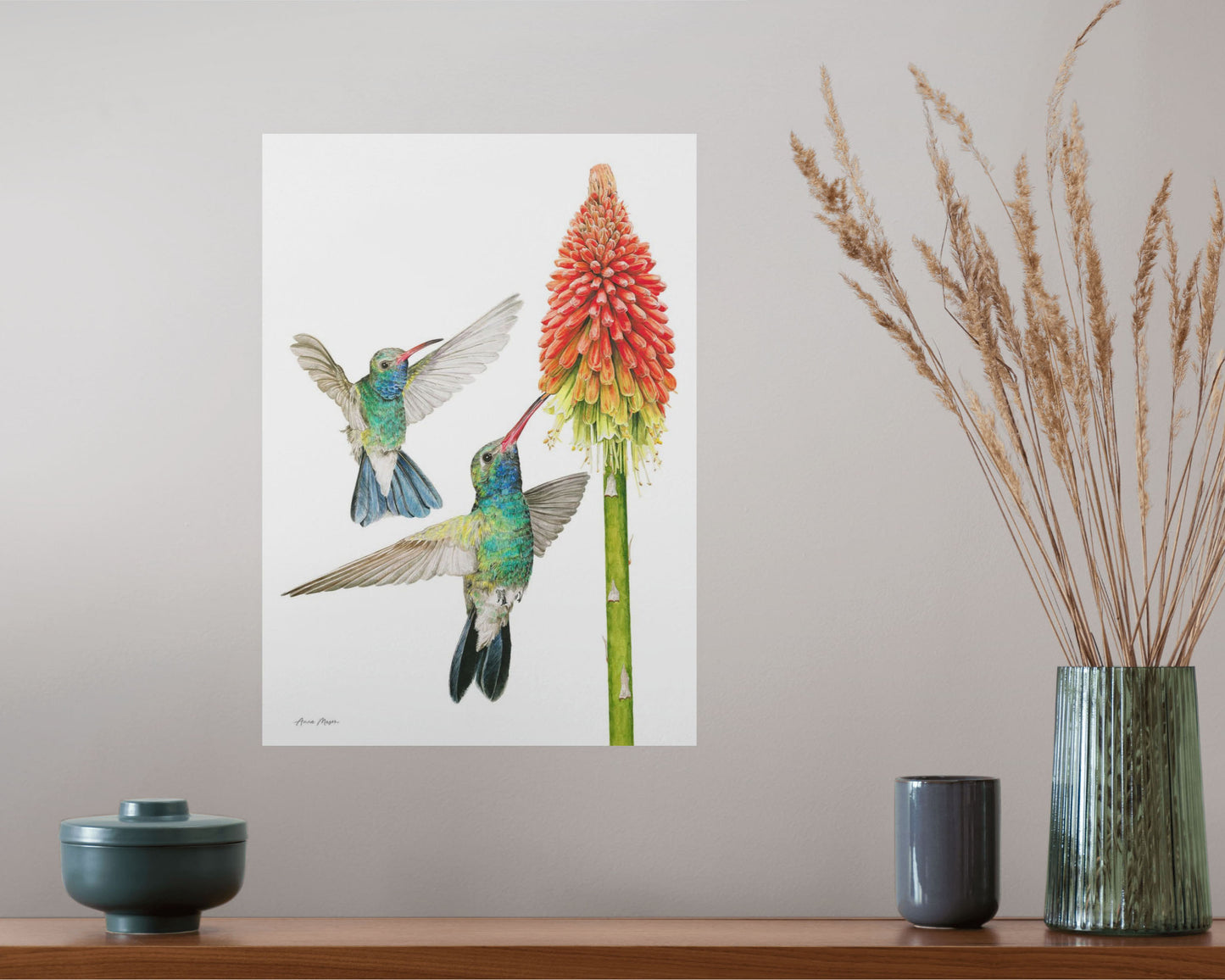 Hummingbirds with Red Hot Poker
