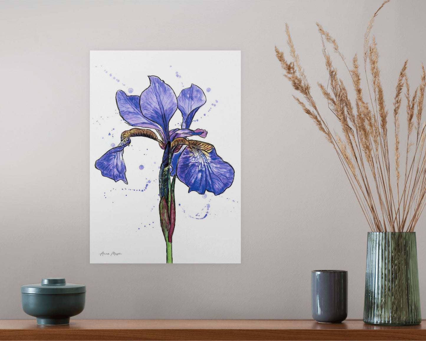 Line & Wash Flag Iris