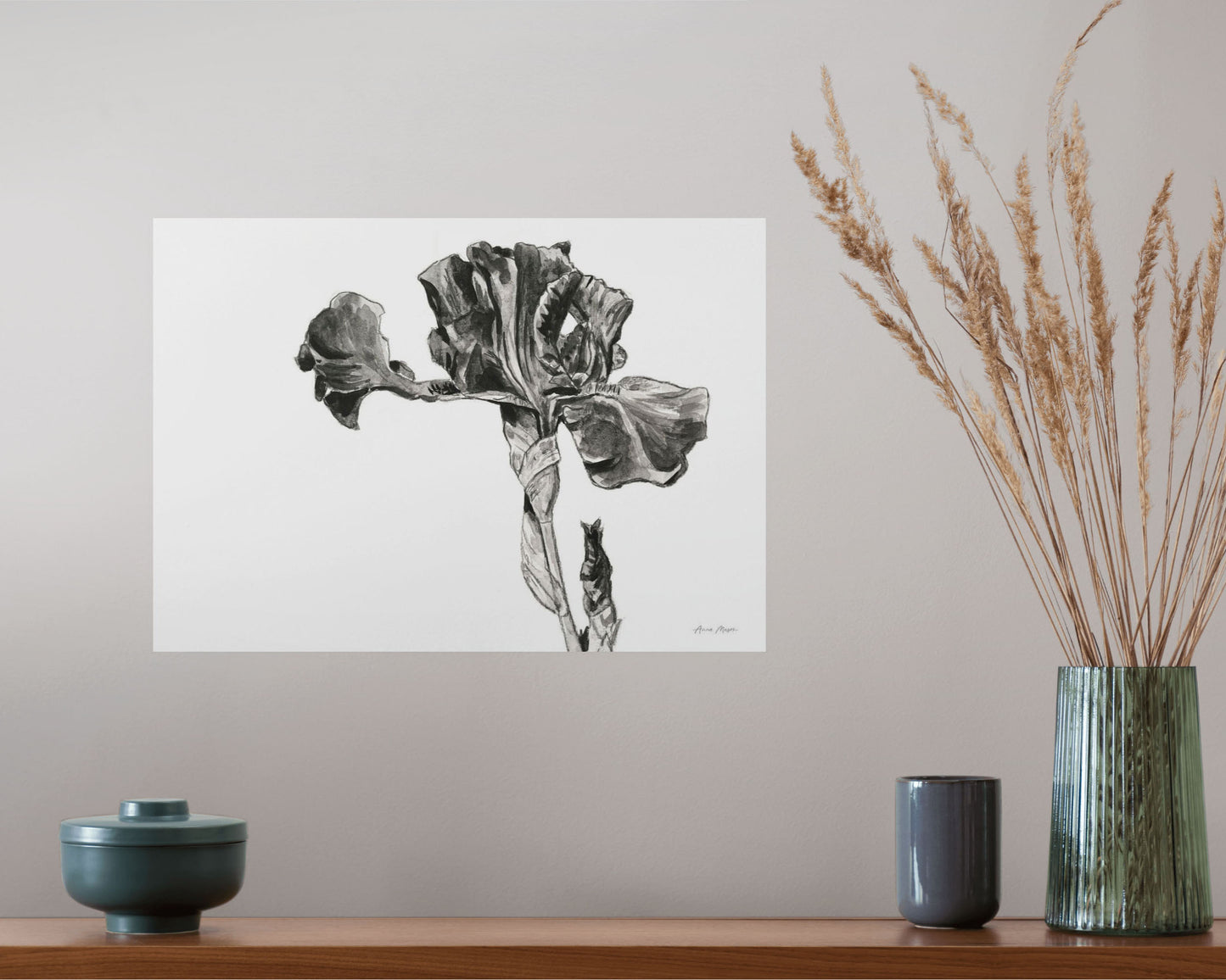 Monochrome Bearded Iris