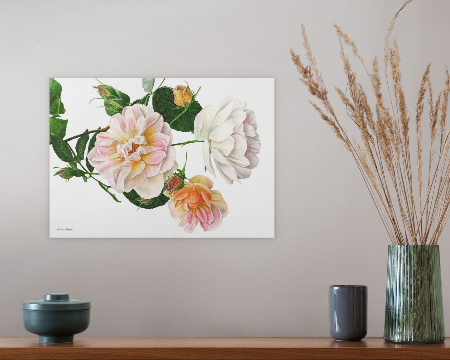 Rose 'Treasure Trove'