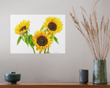 Sunflowers