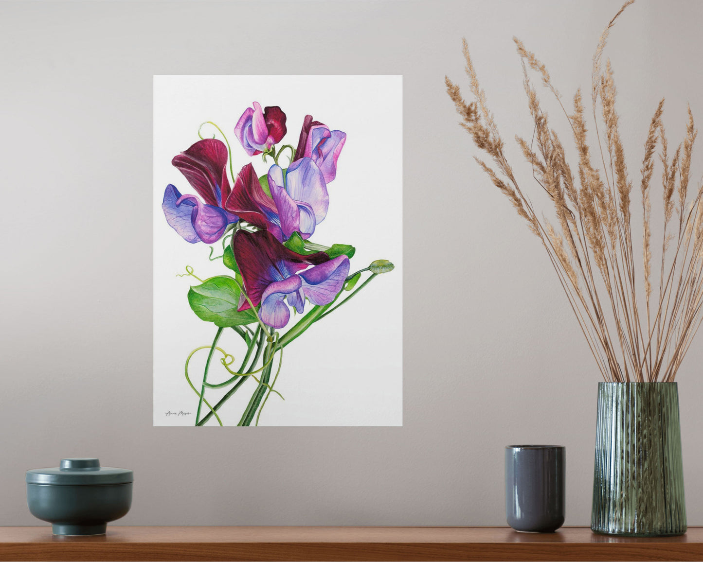 Sweet Peas 'Matucana'