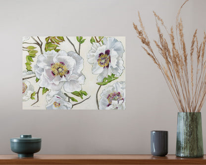 Rock's Tree Peony