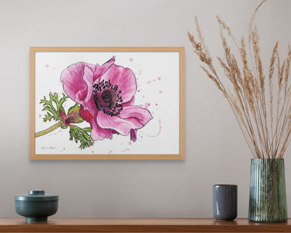Line & Wash Anemone