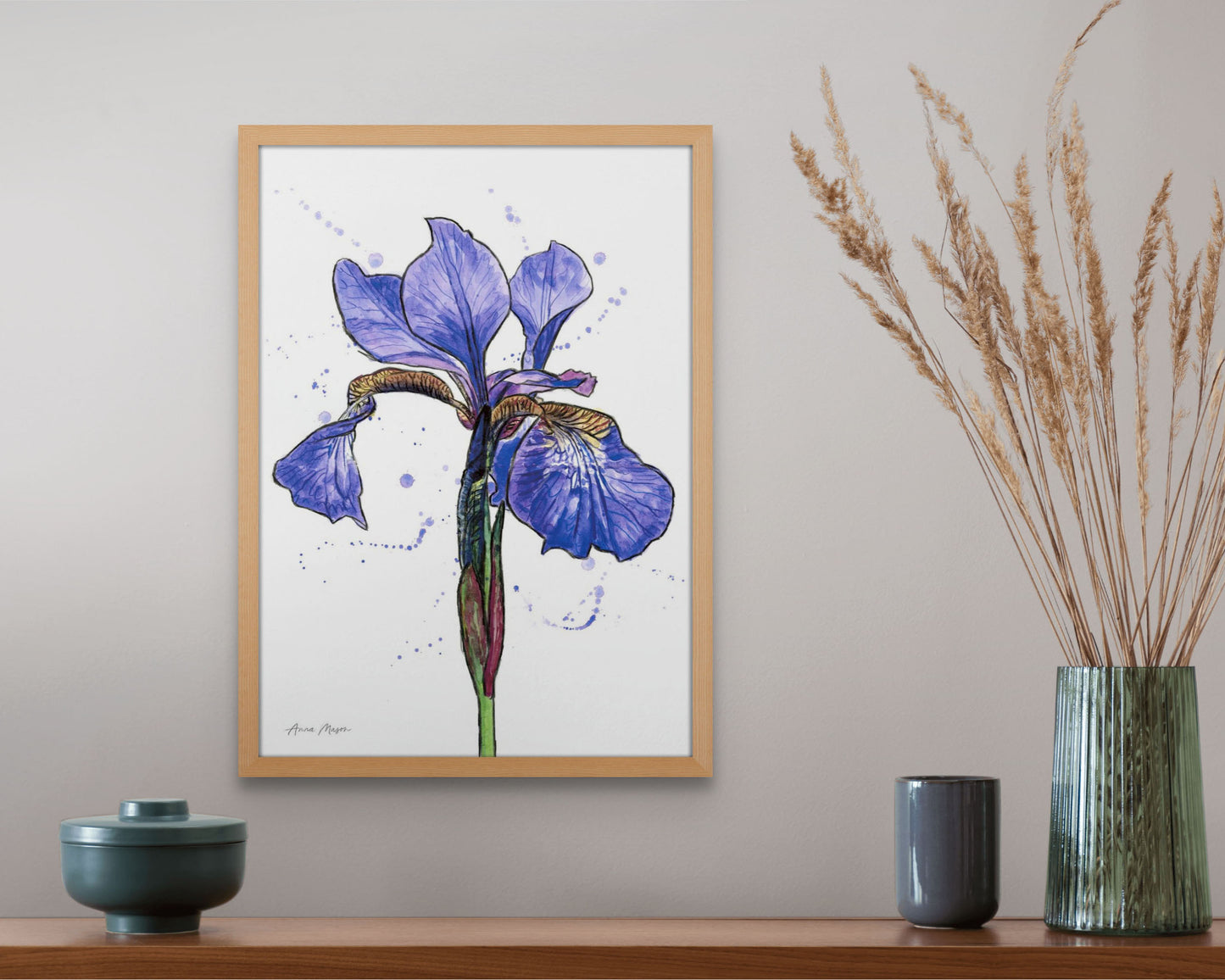 Line & Wash Flag Iris