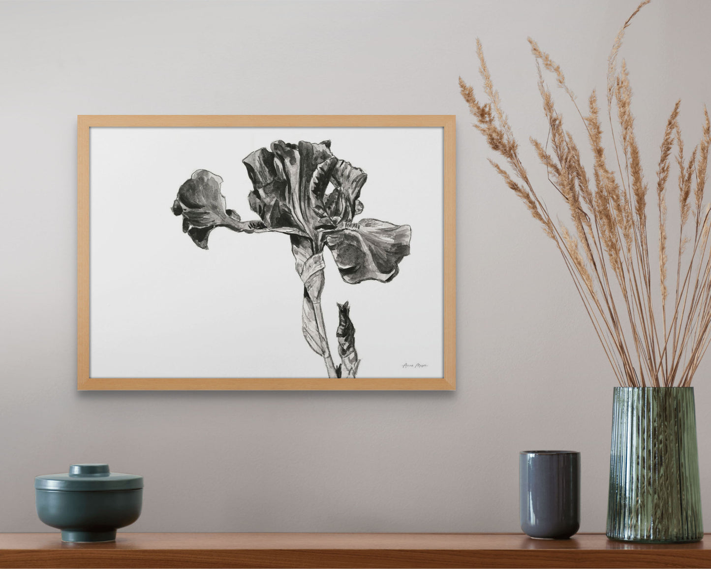 Monochrome Bearded Iris