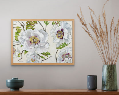 Rock's Tree Peony