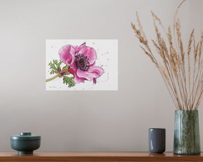 Line & Wash Anemone