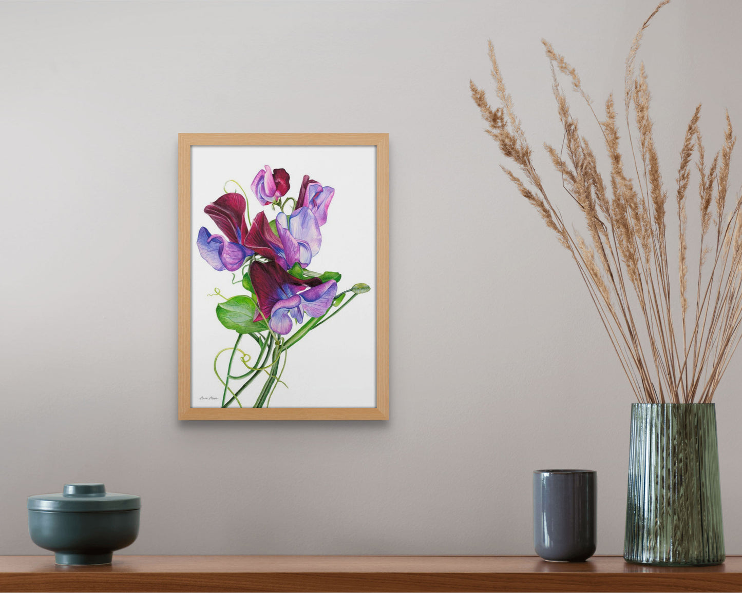 Sweet Peas 'Matucana'