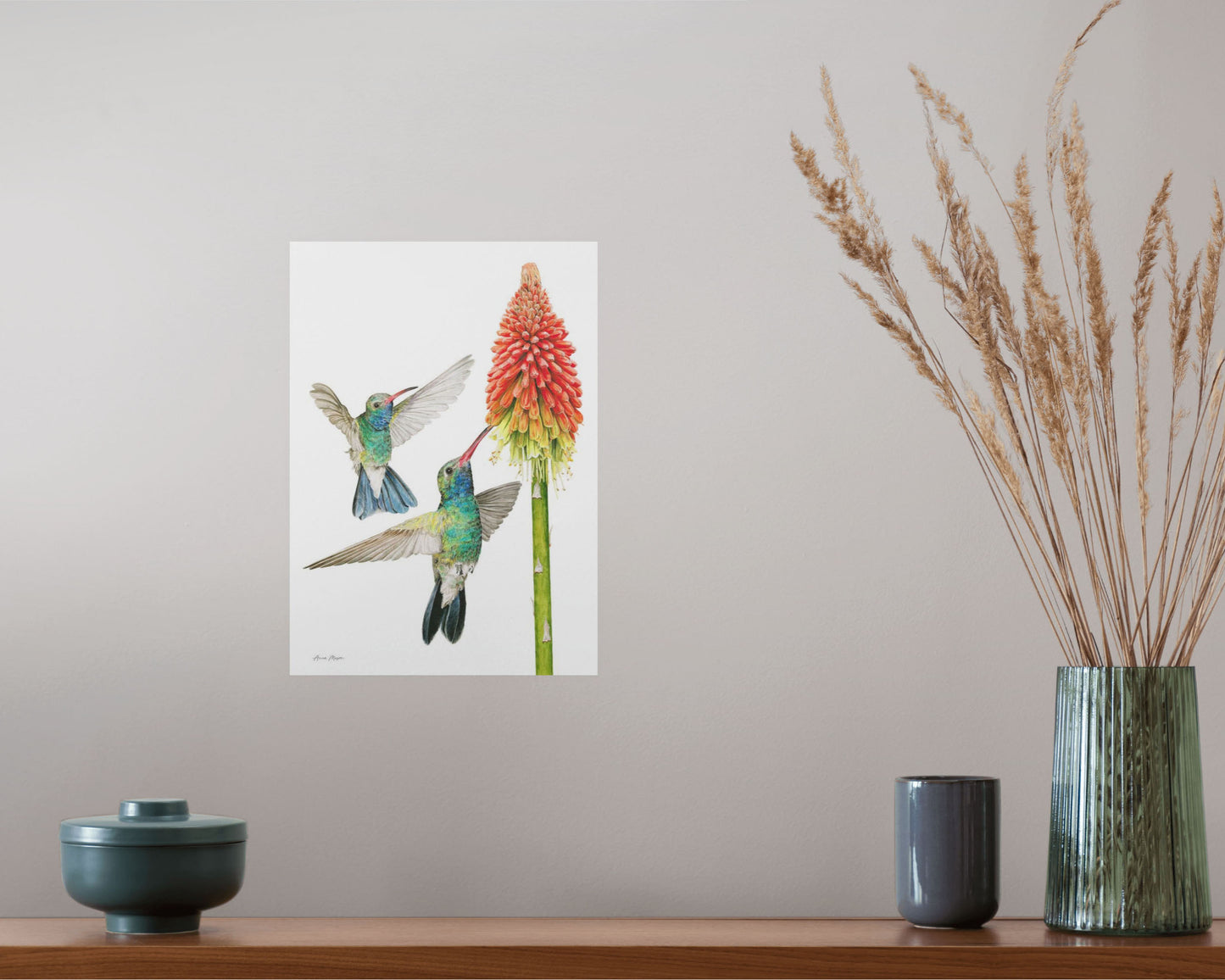 Hummingbirds with Red Hot Poker