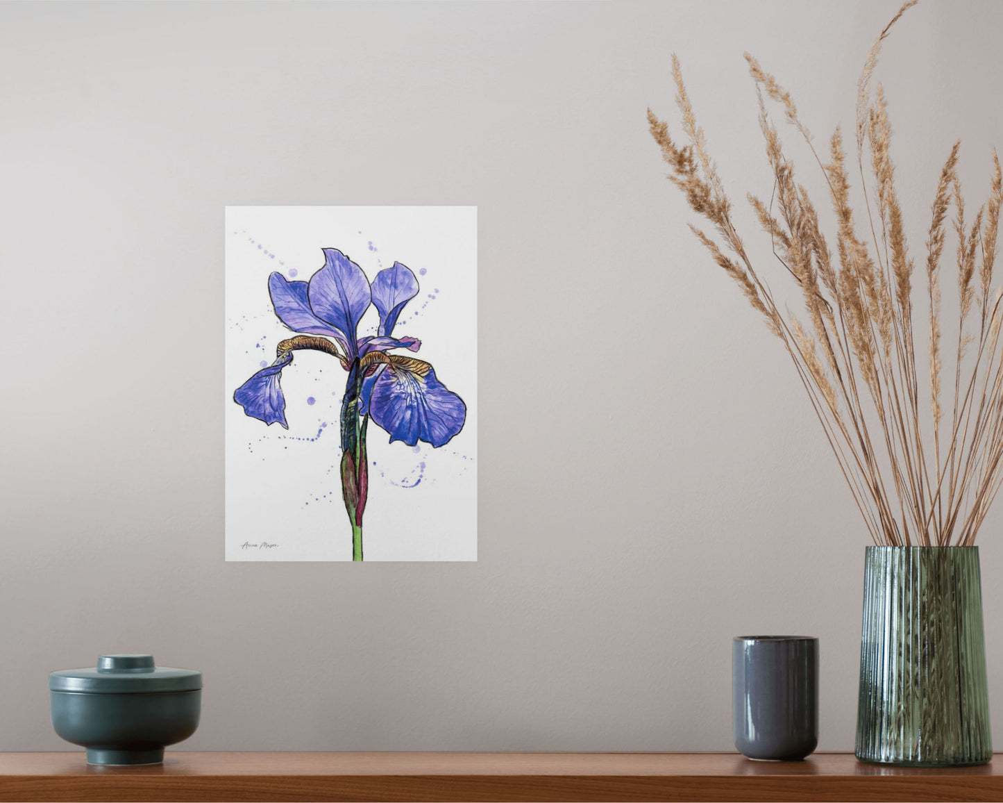 Line & Wash Flag Iris