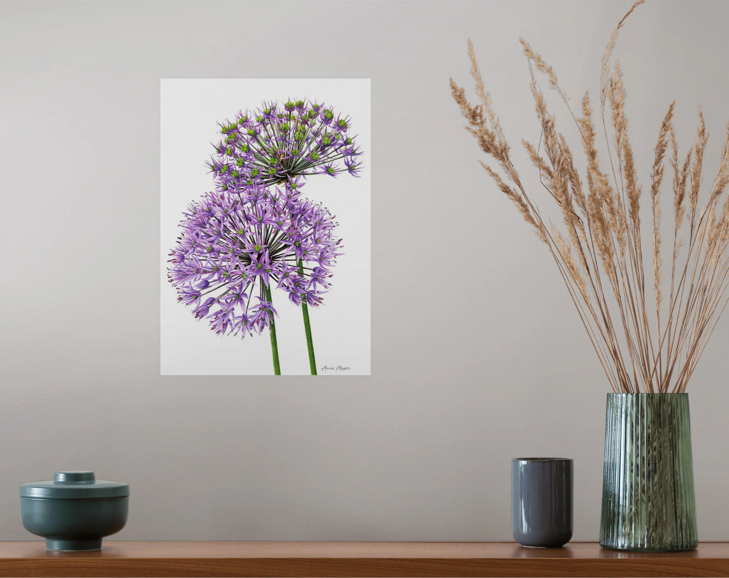 Allium Pair