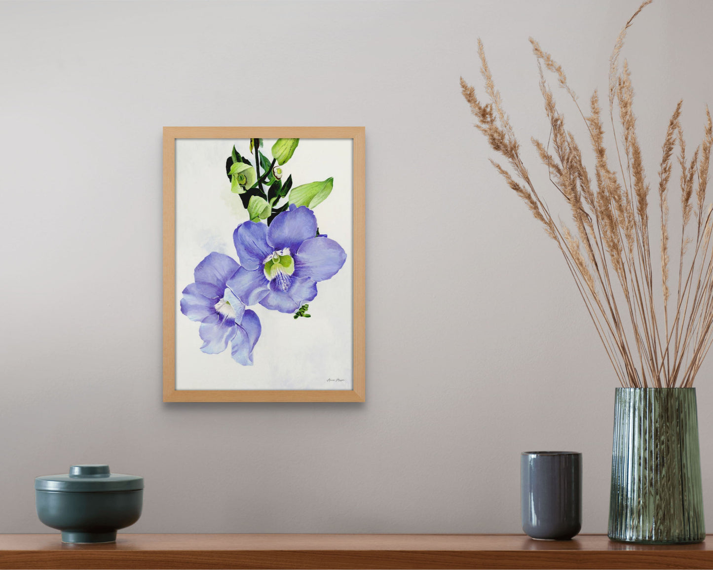 Blue Skyflower