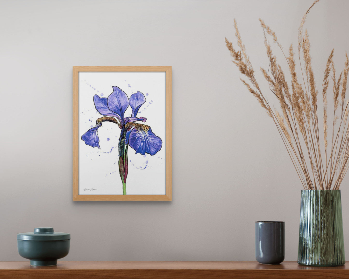 Line & Wash Flag Iris