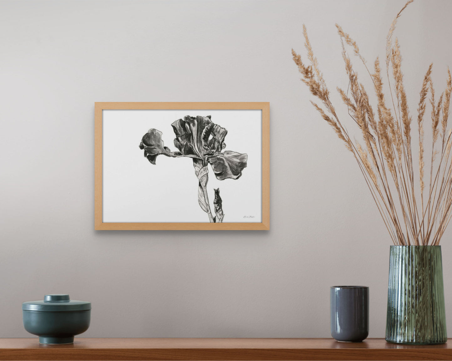 Monochrome Bearded Iris
