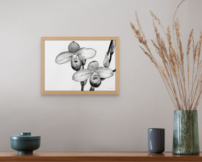 Monochrome Orchids