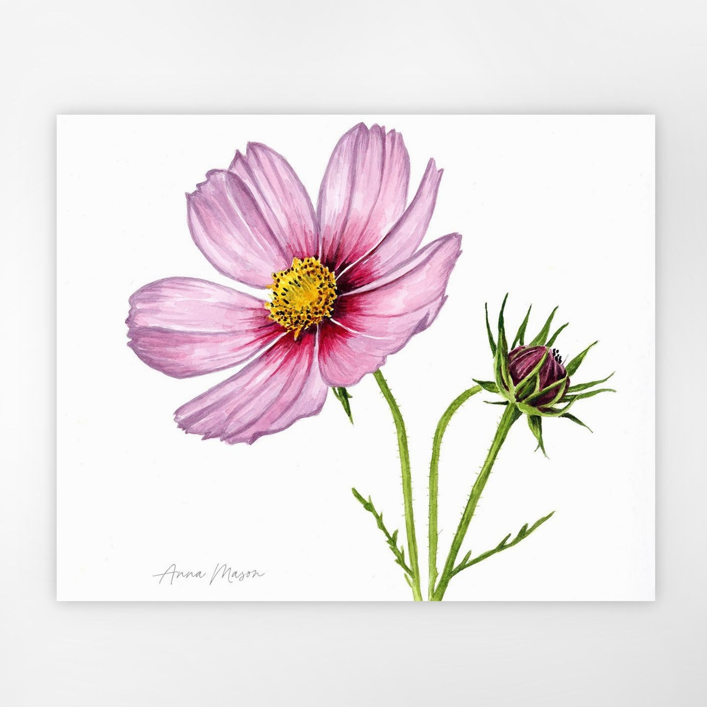 Cosmos (Original painting)