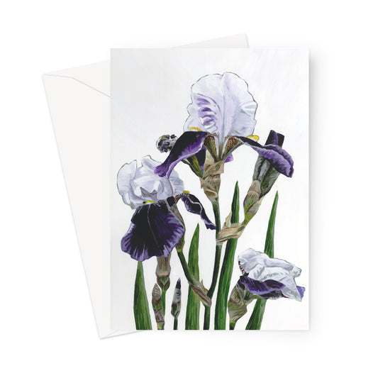 Iris 'Braithwaite' Greeting Card