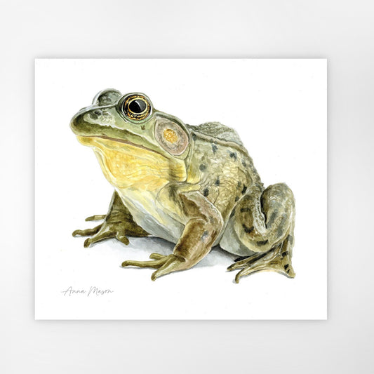 Garden Frog (Original painting)