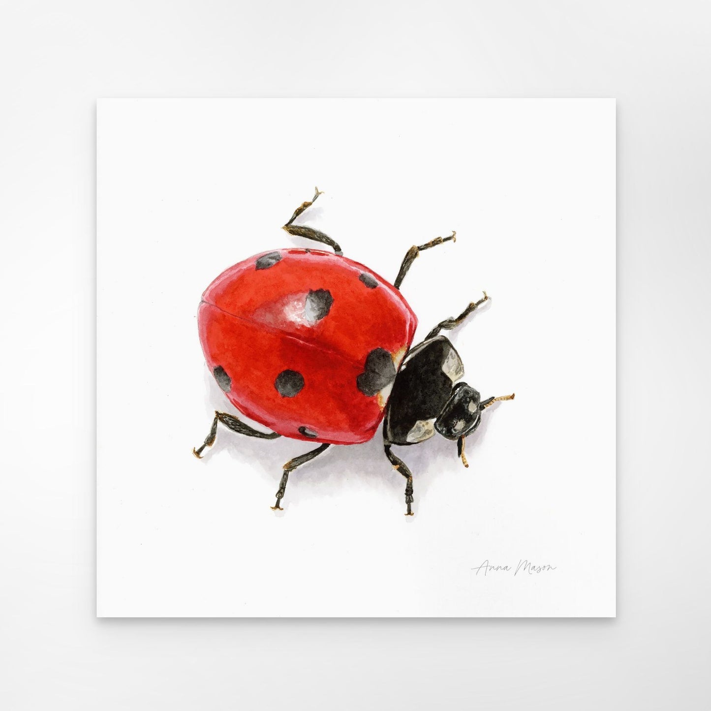 Ladybird (Original painting)