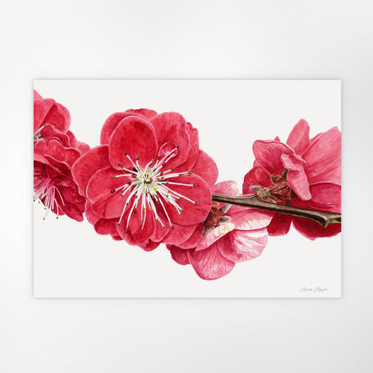 Peach Blossom (Original painting)