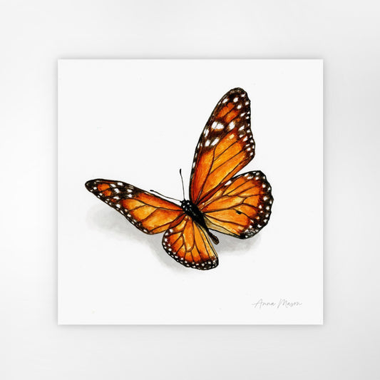 Monarch Butterfly (Original painting)