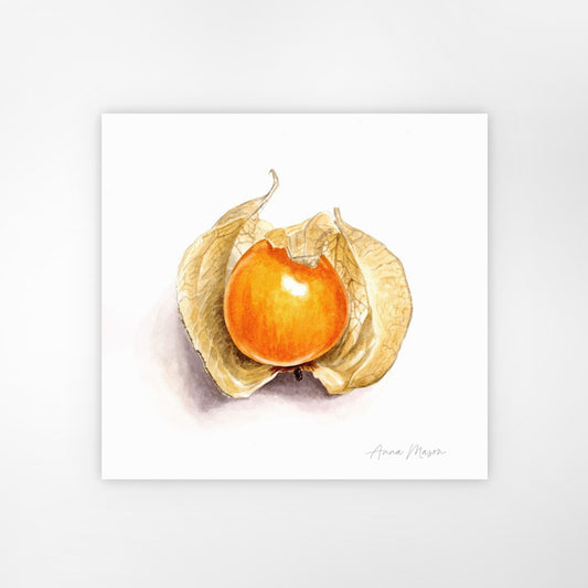Physalis (Original painting)