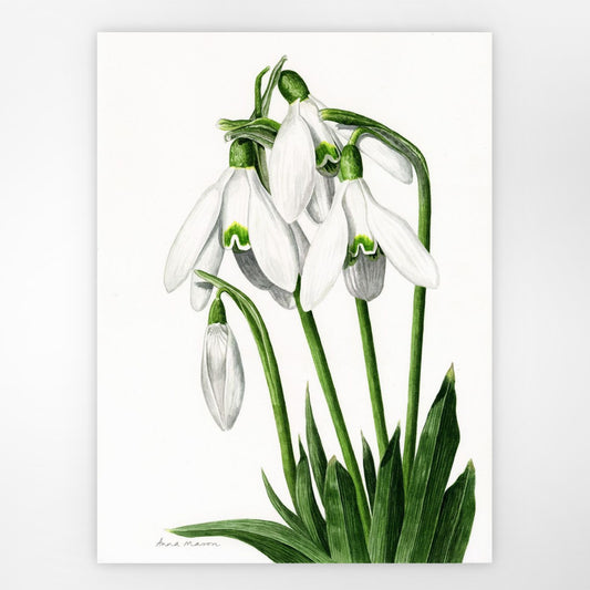 Snowdrops (Original painting)